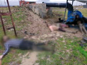 MSB’den Yunanistan sınırında donarak vefat eden göçmenler hakkında açıklama