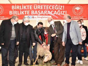 Muğla’ya ETAP Projesi kapsamında 20 milyonluk destek devam ediyor