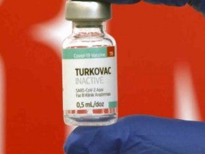 Muğla’da yerli aşı TURKOVAC uygulaması başlıyor