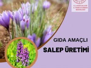 Aydın’da gıda amaçlı salep üretimi yapılabilecek