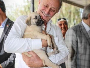 Başkan Atabay, can dostlar için yeni projesini duyurdu