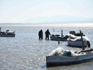 Söke Doğanbey’deki fırtına hayatı olumsuz etkiledi