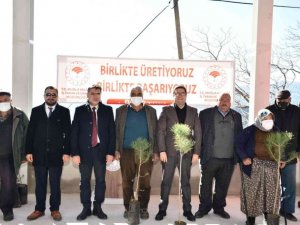 Bin adet çam fıstığı dağıtıldı