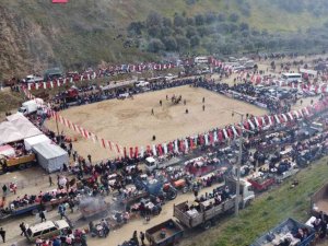 Deve Güreşi tutkunları Kuyucak’ta buluştu