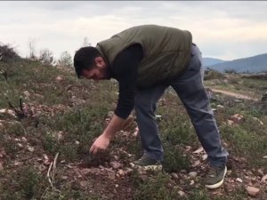 Hedef 20 bin tohum topu