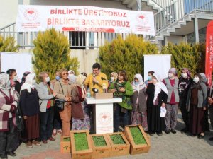 360 bin adaçayı ve kekik fidesi dağıtıldı