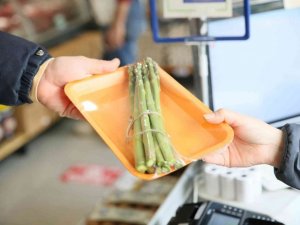 Aydın Büyükşehir’in ürettiği kuşkonmazlar Halk Ege Et Market’lerinde yerini aldı