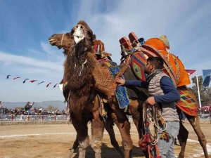 Nazilli’de 180 pehlivan devenin güreşini 20 bin vatandaş izledi