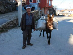 Yük hayvanları kıymete bindi