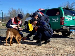 Can dostlara Jandarma şefkati