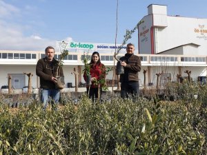 ÖRKOOP’tan bölge tarımına kaliteli fidan desteği