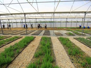 Yağmur hasadıyla yılda 300 ton su tasarrufu