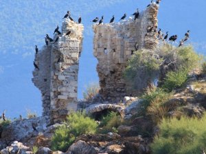 Latmos’u korumak için çağrıda bulundu