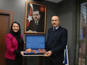 İl Koordinatörü Karagöz, Başkan Tekin’i ziyaret etti