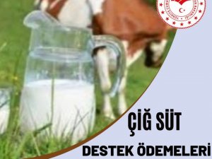 Çiğ süt destek ödemeleri başladı