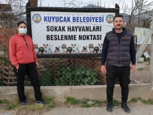 Hem kameralar hem de veteriner o anı yakaladı