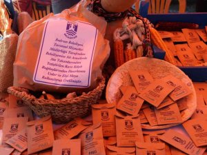 Bodrum Tohum Takas Şenliği’nde ata tohumları el değiştirdi