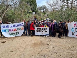 Bodrum’da yanan alanlara hafriyat dökülmesine ses yükselttiler