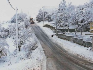 Büyükşehir 111 ihbara müdahale etti