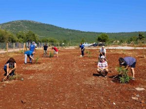 Yaşlı ve engelli vatandaşlar için ceviz bahçesi