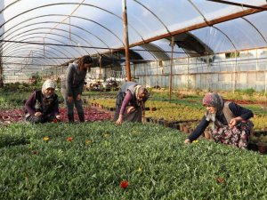 Muğla’da kadınlar üreterek güçleniyor