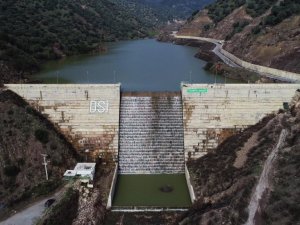 Aydın’da çiftçiler umutlu, en kötü senaryo geçti