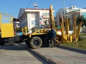 Kuşadası Belediyesi 547 ağacı kesilmekten kurtardı