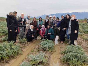Efelerli AK Kadınlar ’8 Mart’ta tarlaya indi