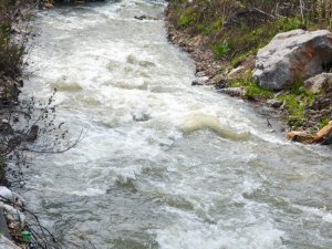 Yağışlı havalar Köşk Çayı’nı coşturdu