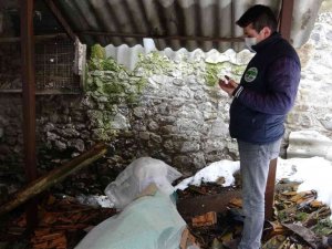 Isparta’daki türbenin harabe hali vicdanları sızlattı