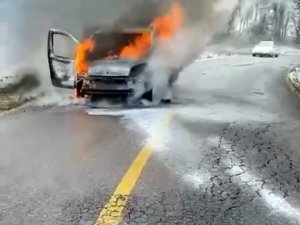 Hafif ticari araç alev topuna döndü