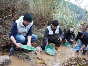 Buz gibi suda altın avı
