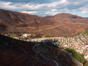 Doğa dostu bisikletçiler yanan ormanlar için pedal çevirip fidan dikecek