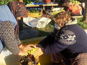 Aydınlı pazarcılar soğuk havada yaktıkları ateşle ısınmaya çalıştı