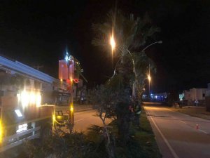 Palmiyeler için gece mesaisi