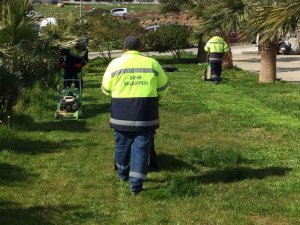 Didim’de yeşil alanlarda çalışmalar devam ediyor