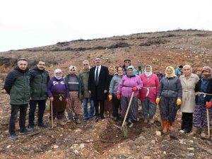 Muğla’da Şehit Yakınları Şehitler anısına fidan dikti