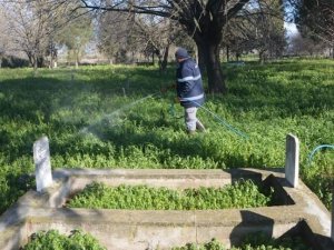 Köşk Belediyesi, yabani otla mücadeleye başladı