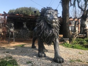 Aslan heykelini Galatasaray - Barcelona maçına yetiştirdiler