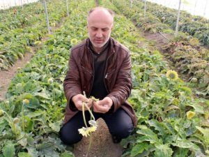 (Özel Haber) Don Nedeniyle Kadınlar Çiçeksiz Kalacak