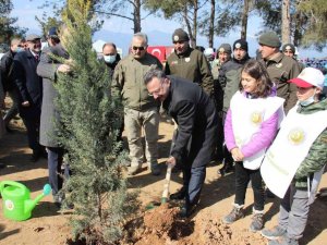 Aydın’da 10 bin adet fidan toprakla buluştu