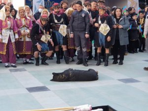 Nevruzda sevimli köpek ilgi odağı oldu