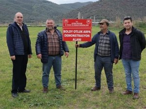 Aydın’da yerli tohum kullanımının arttırılmasına yönelik çalışmalar sürüyor