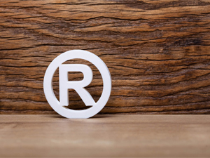 Online patent sorgulama