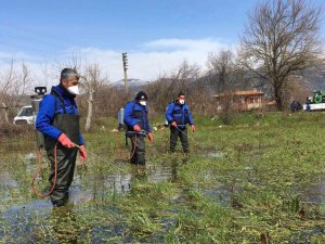Karabağlar Yaylası’nda Vektörle mücadele