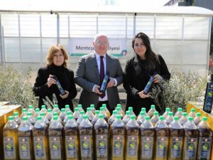 Zeytinyağları ihtiyaç sahiplerine dağıtılıyor