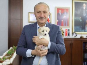 Didim’de can dostlar emin ellerde