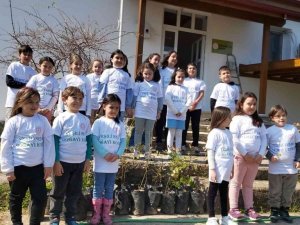 Öğrenciler Datça’da 25 adet harnup fidanı dikti