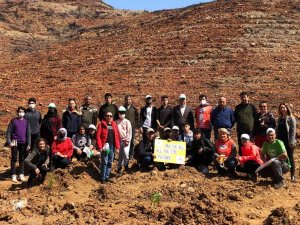 Anadolu İmam Hatip Lisesi öğrencileri fidan dikti