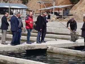 Köyceğiz’de alabalık ve çilek üretim alanlarında incelemelerde bulunuldu